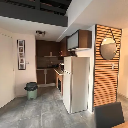 Belle Vue, T2 Mezzanine Vue Port, 50 M De La De La Conque Apartmán Agde